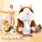 🎅 Christmas Promotion: 49% OFF 🎄🎁Talking Hamster Plush Toy