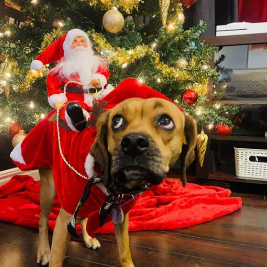 Santa Claus Riding Dog Costume for Christmas