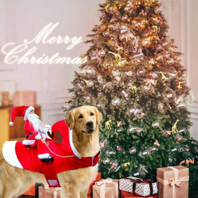 Santa Claus Riding Dog Costume for Christmas