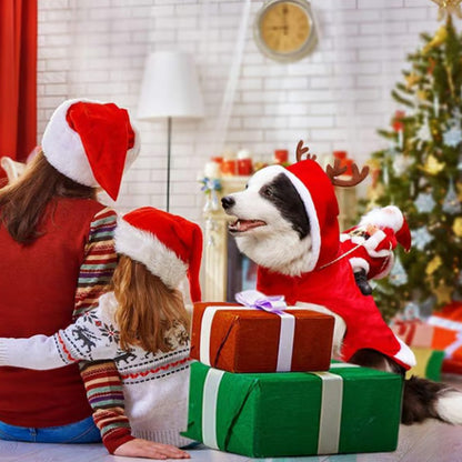 Santa Claus Riding Dog Costume for Christmas