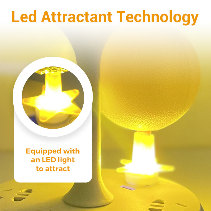 🥳2026 HOT SALE🥳💞50K+ SOLD!🚫🪰 50% OFF! LED Fruit Fly Trap – Sticky ball + light attracts insects day & night. Non‑toxic, no chemicals. Perfect for kitchen & office. Just set & toss. 🍎✨