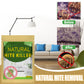 ⏳LAST DAY SALE🌿🛡️ The US’s #1 Natural Mite Control Sachet– Vetted by Allergy US• 100% Chemical-Free • Safe for Babies, Pets & Asthma Sufferers 🇬🇧🛏️✨