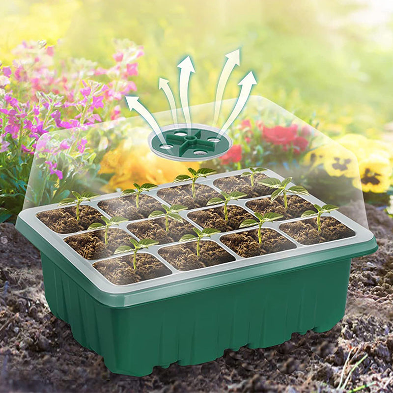 💎50% OFF! 💎 Grow Trays with Grow Light – Humidity Control, Transparent, and Full-Spectrum Light 🌱💡