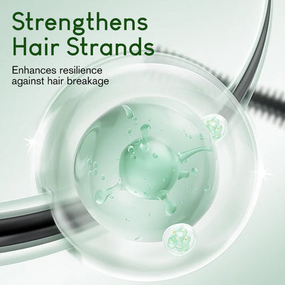 🔥2025 Hot Sale🔥Rosemary Amino Acid Hydrating Shampoo
