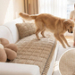 🔥Hot Sale🛋️ Pet-Friendly Sofa Cushions Are Here! Non-slip, scratch-resistant, and ultra-soft—lay them down and relax! ✨