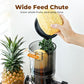 🔥Limited Time Offer 50%OFF⏰✨Wide-Mouth Slow Juicer for Whole Fruits