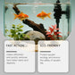 ⏰🔥LIMITED TIME 50% OFF! 🐠 Easy-Use Water Clarifier – Keep Your Fish Tank Crystal Clear & Healthy 🌊✨