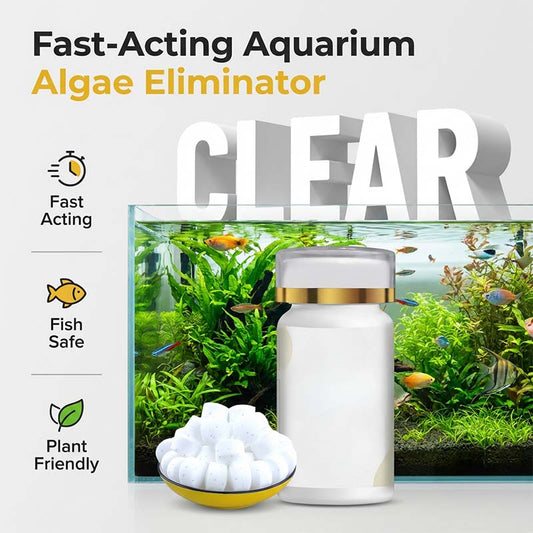 🥳2026 HOT SALE🥳💞50K+ SOLD!🐠💧 50% OFF! Algae Control Tablets – Stops Blooms At Cellular Level. Keep Your Tank Crystal Clear. 🐟✅