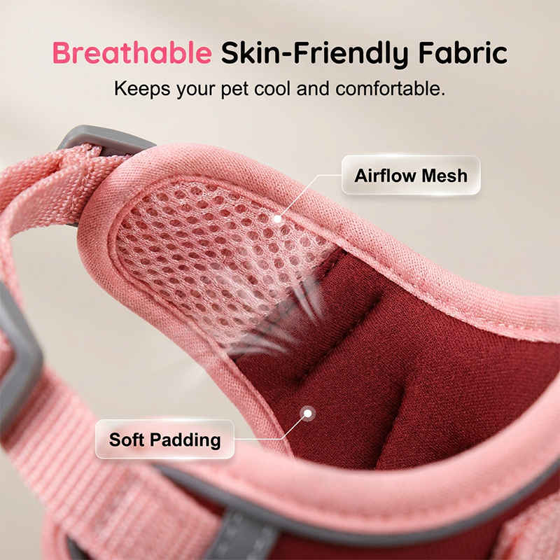 🐕🦺 Adjustable Padded Dog Harness (with Leash) – Comfortable and Escape-Proof  ✨✅