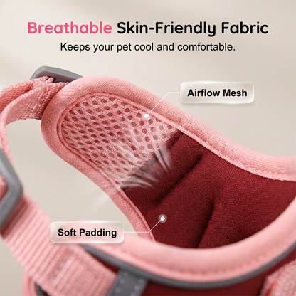 🐕🦺 Adjustable Padded Dog Harness (with Leash) – Comfortable and Escape-Proof  ✨✅