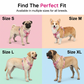 🐕🦺 Adjustable Padded Dog Harness (with Leash) – Comfortable and Escape-Proof  ✨✅