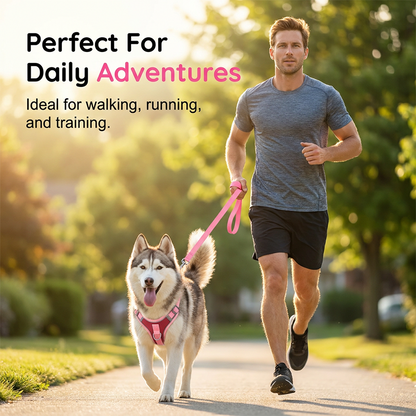 🐕🦺 Adjustable Padded Dog Harness (with Leash) – Comfortable and Escape-Proof  ✨✅