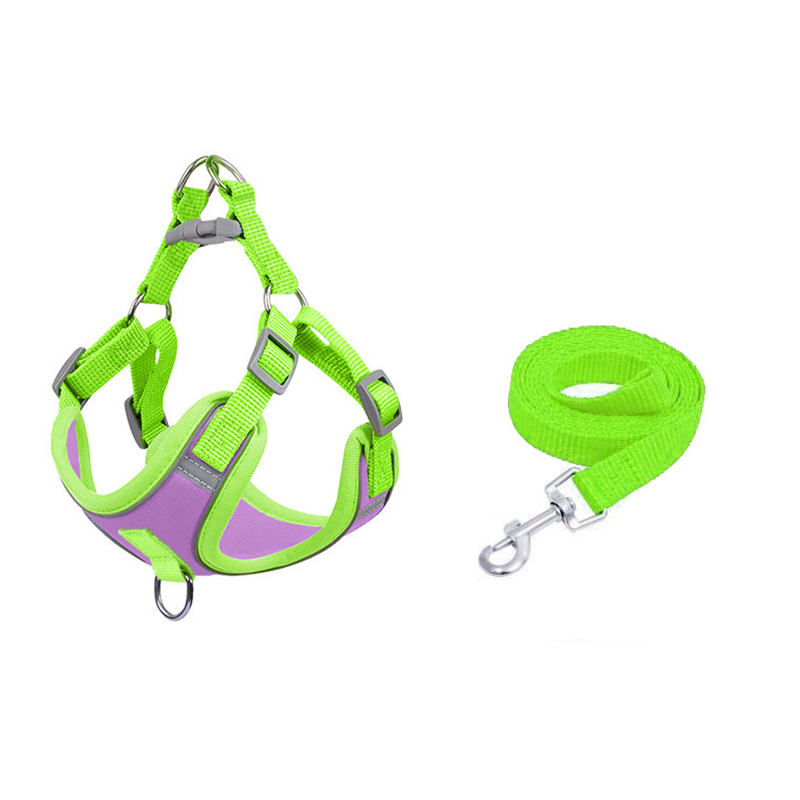 🐕🦺 Adjustable Padded Dog Harness (with Leash) – Comfortable and Escape-Proof  ✨✅