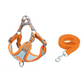 🐕🦺 Adjustable Padded Dog Harness (with Leash) – Comfortable and Escape-Proof  ✨✅