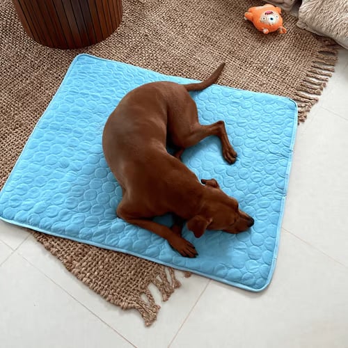 ⏳🔥LIMITED-TIME 50% OFF! 🐶 Dog Cooling Mat – 4x More Effective Cooling for Hot Summer Days ❄️✨