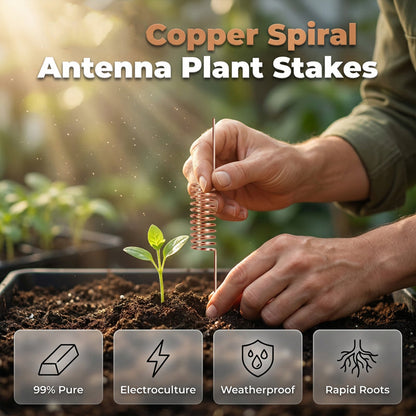 🔥Last Day 50% OFF🌱Copper Spiral Antenna Plant Stakes🌻