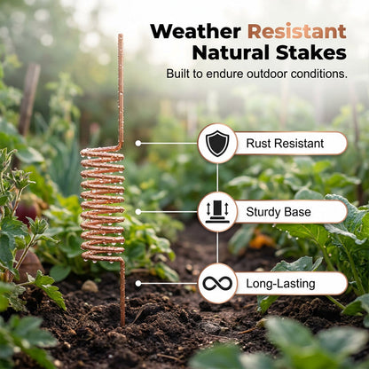 🔥Last Day 50% OFF🌱Copper Spiral Antenna Plant Stakes🌻