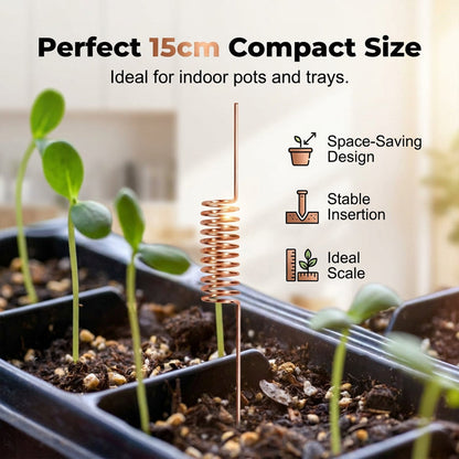 🔥Last Day 50% OFF🌱Copper Spiral Antenna Plant Stakes🌻