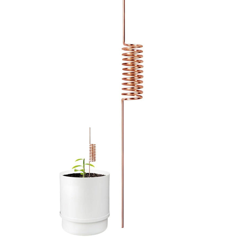 🔥Last Day 50% OFF🌱Copper Spiral Antenna Plant Stakes🌻