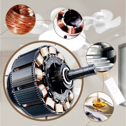 🥳SUMMER HOT SALE🥳💞50K+ SOLD!💥50% OFF! Remote-Controlled LED Ceiling Fan Light