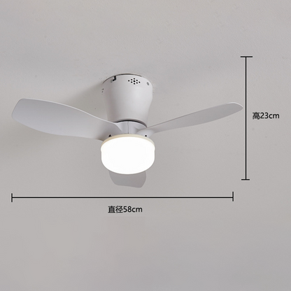 🥳SUMMER HOT SALE🥳💞50K+ SOLD!💥50% OFF! Remote-Controlled LED Ceiling Fan Light
