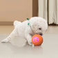 🐾 AUTO-BOUNCING SMART PET BALL WITH REMOTE CONTROL— 3 Interactive Modes | Chew-Resistant E-TPU | USB-C Rechargeable 🎾
