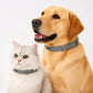 🔥2026 New products🔥Adjustable Flea & Tick Collars for Dogs & Cats