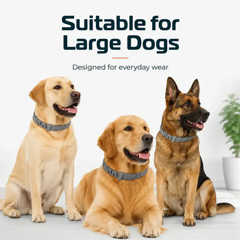 🔥2026 New products🔥Adjustable Flea & Tick Collars for Dogs & Cats