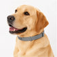 🔥2026 New products🔥Adjustable Flea & Tick Collars for Dogs & Cats