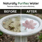⏳LAST DAY SALE 🌿Universal Fit Bird Bath Cleaner🐦💦Wildlife-Safe Leaf Purifier for Fresh, Clear Water in Any Garden Basin | Rust-Resistant & Low Maintenance🛡️✨