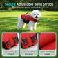 🔥Summer Hot Sale: 50% Off🔥High Buoyancy Dog Life Jacket